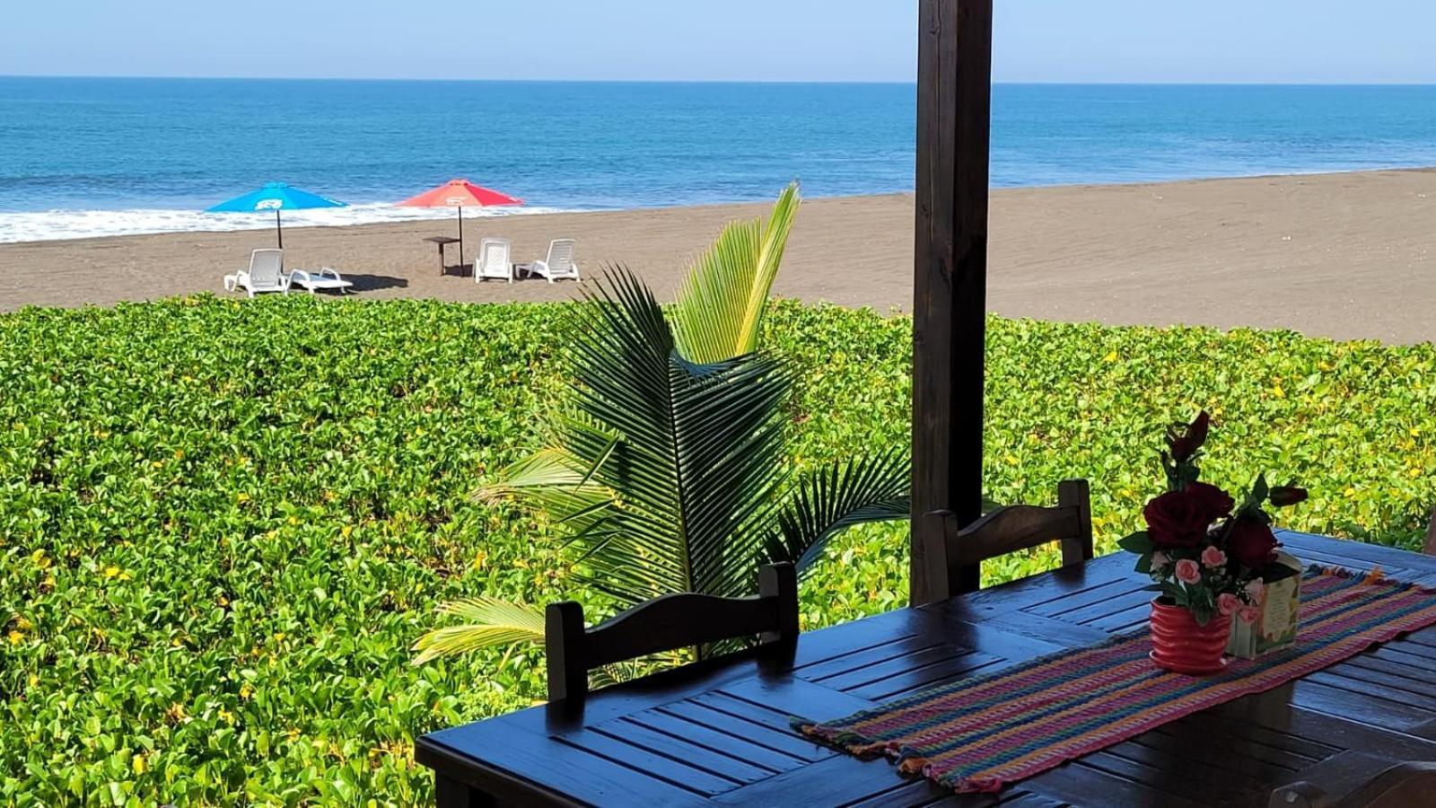 Hotel Hawaian Paradise 하와이 외부 사진